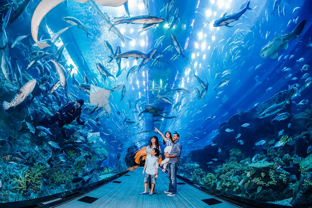 Dubai Underwater Aquarium